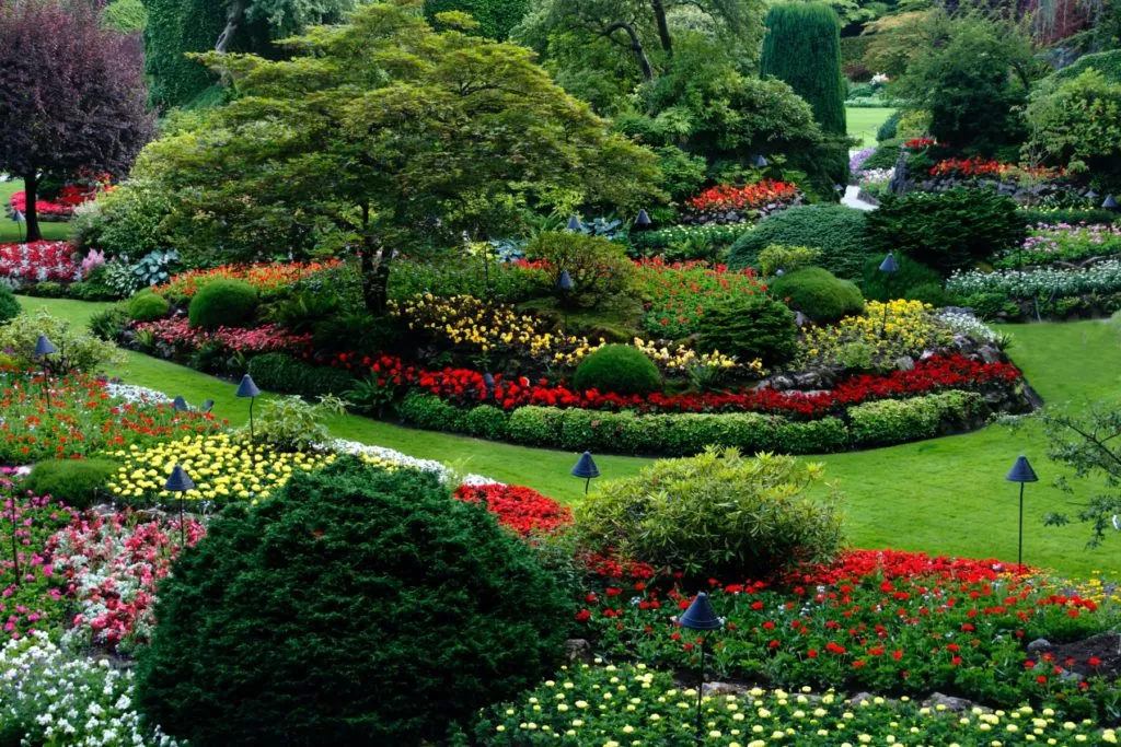 Jardin de villa entretenu dans les Alpes-Maritimes