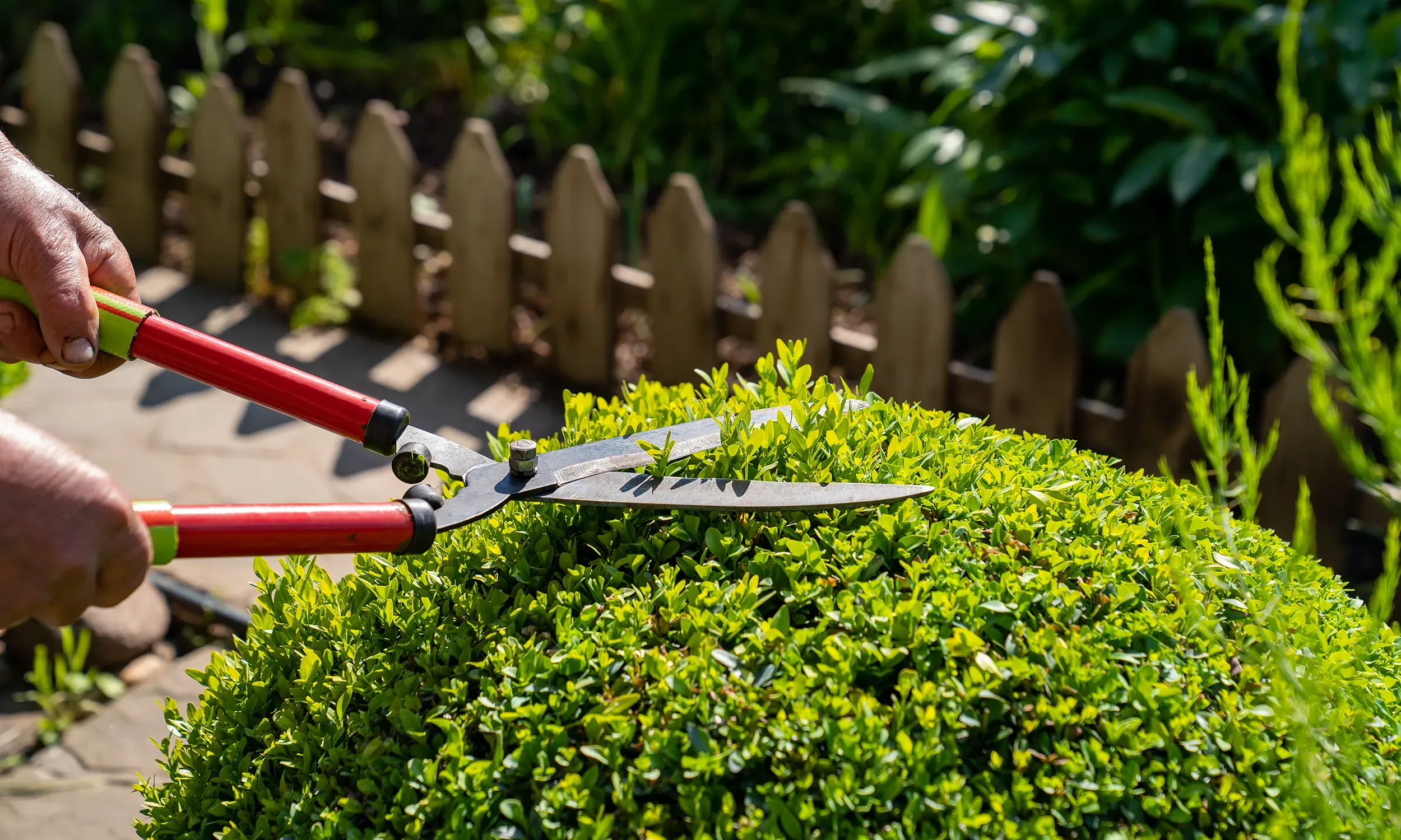 Réalisation d’entretien de jardin dans les Alpes-Maritimes